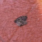 poem_12_28 프로필 사진