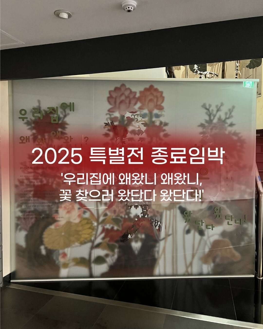 kgumuseum 게시물 이미지: 2025 경기대학교소성박물관 특별전 《우리 집에 왜 왔니 왜 왔니? 꽃 찾으러...