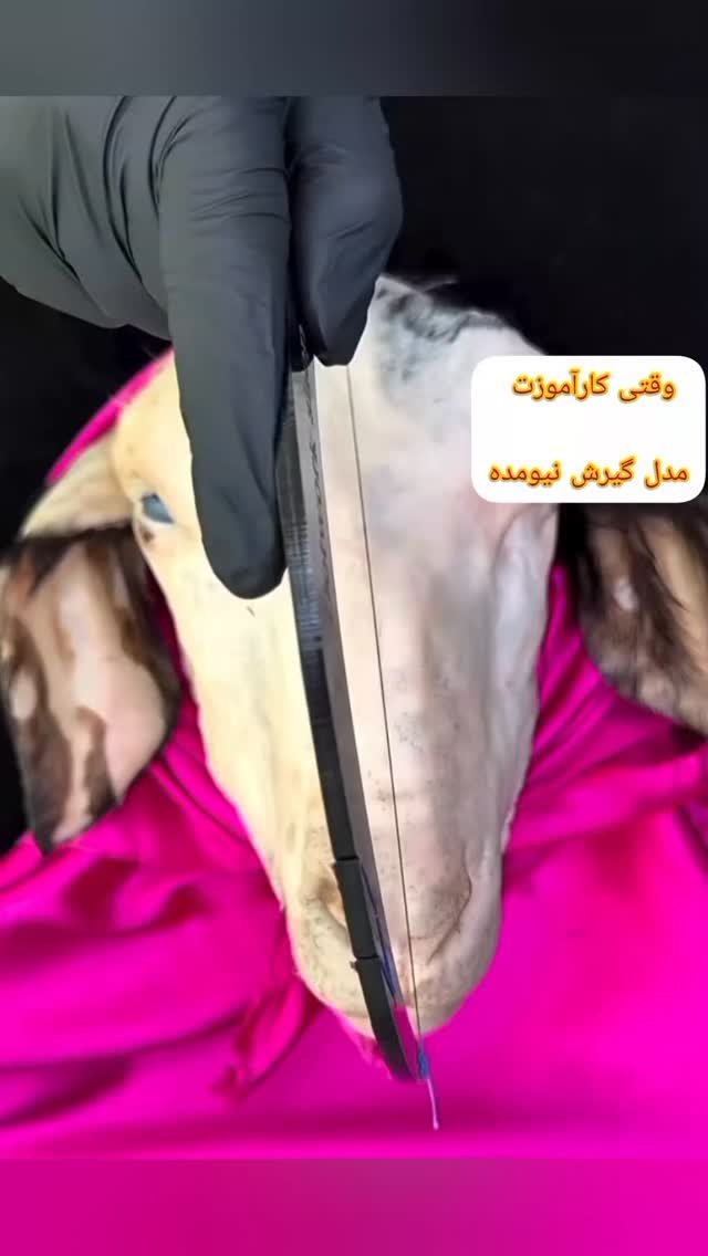 khadiejehnouri1367 게시물 이미지: بفرست براش🤣