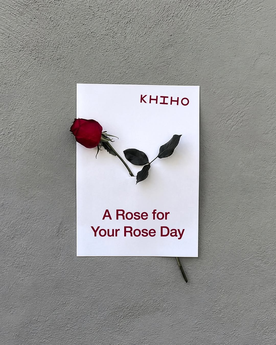 khiho_official 게시물 이미지: PICK UP A FLOWER ! 🌹
at KHIHO SEONGSU...