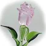 bonnaeonline 프로필 사진