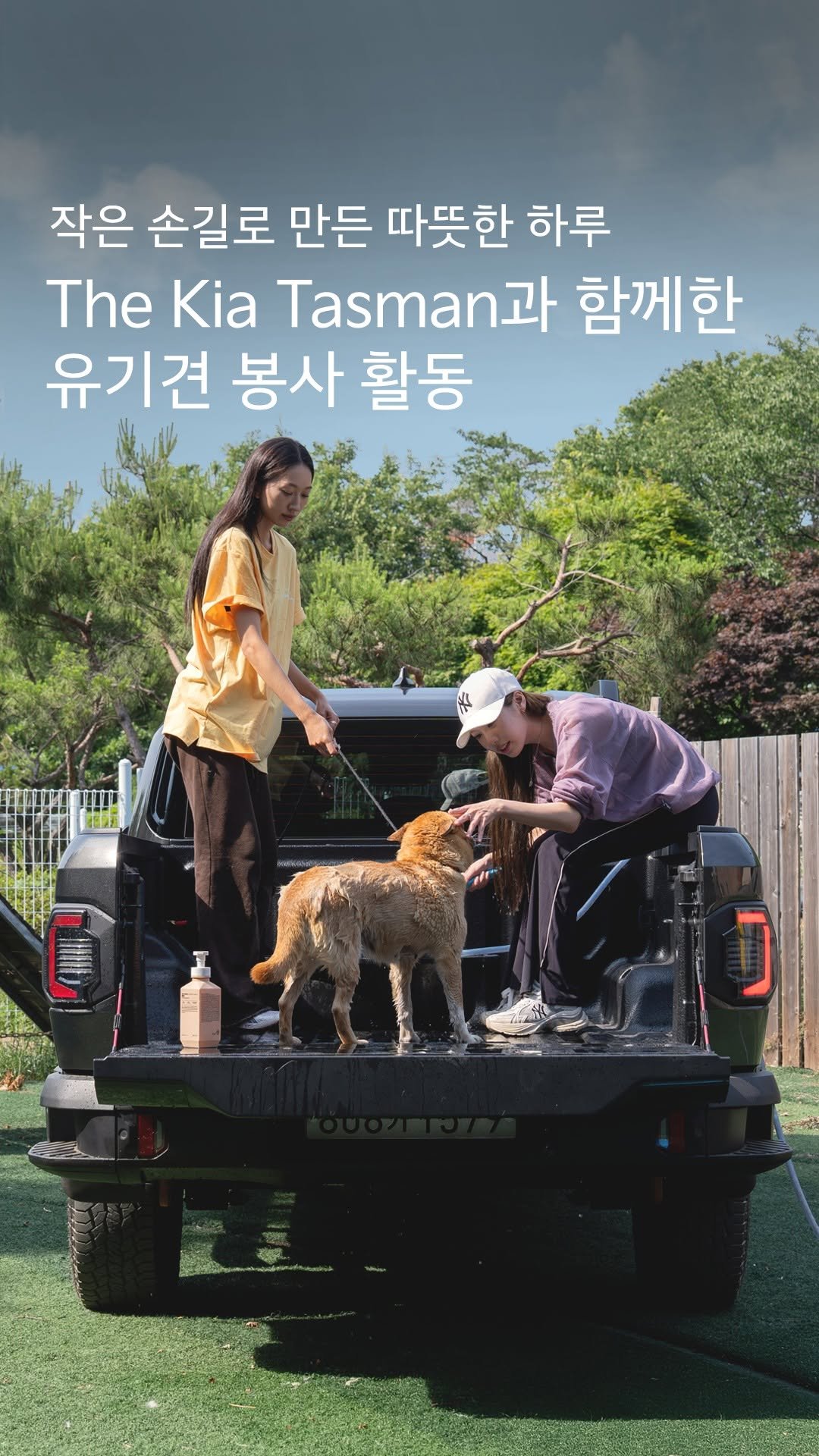 kia.kor 게시물 이미지: 작은 손길로 만든 따뜻한 하루,
The Kia Tasman과 함께한 유기견...
