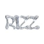 team__rizz 프로필 사진