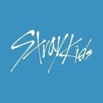 skzentjyp 프로필 사진