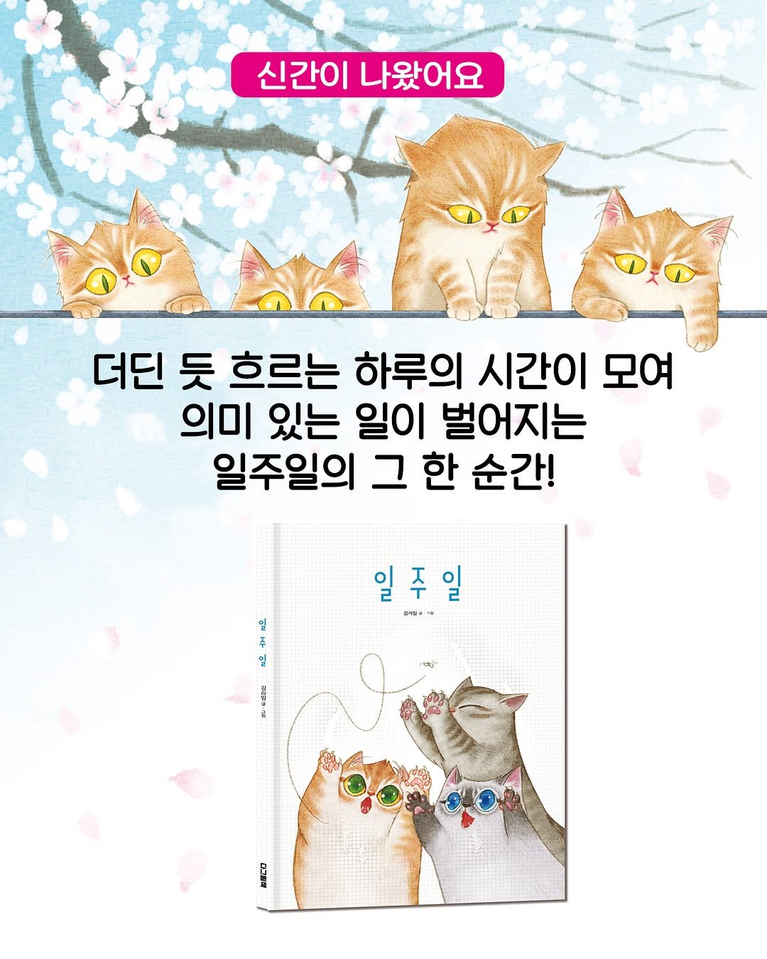 kidaribook 게시물 이미지: 꽃이 피기를 기다리는 일주일의 기다림!
<일주일>이 다그림책 브랜드로 다시...