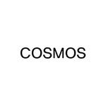 studiocosmos_ 프로필 사진