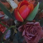 room.heidi 프로필 사진