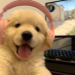 _1000pro_ 프로필 사진