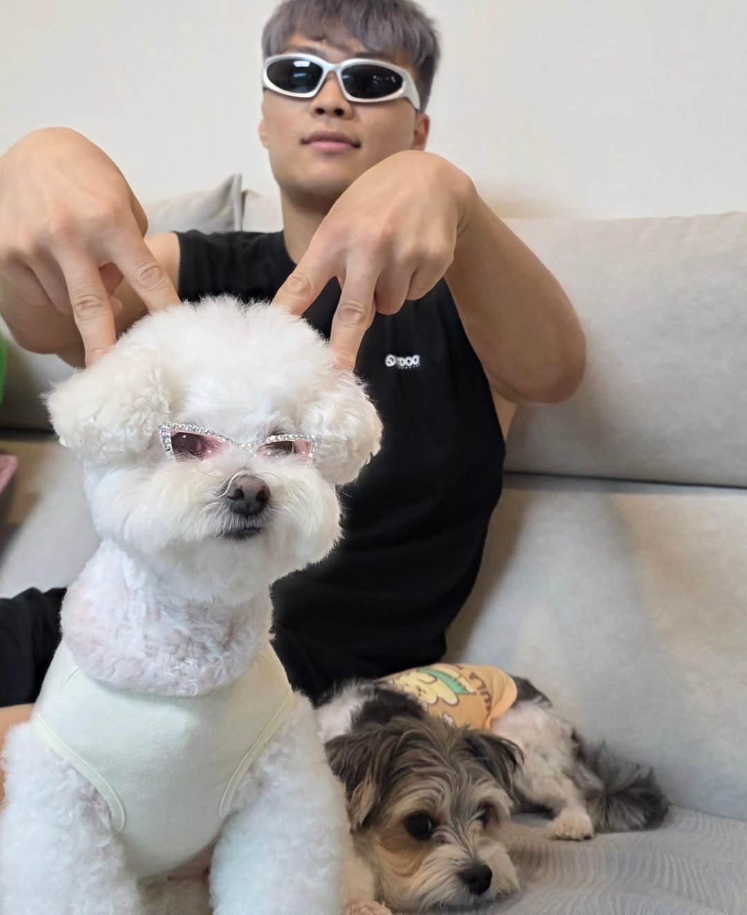 Photo by 김태섭 "🇰🇷Korean SpiderMan🕷" on August 04, 2025. May be an image of 1 person, Norwich terrier, Maltese, Pekinese, cocker spaniel and text.