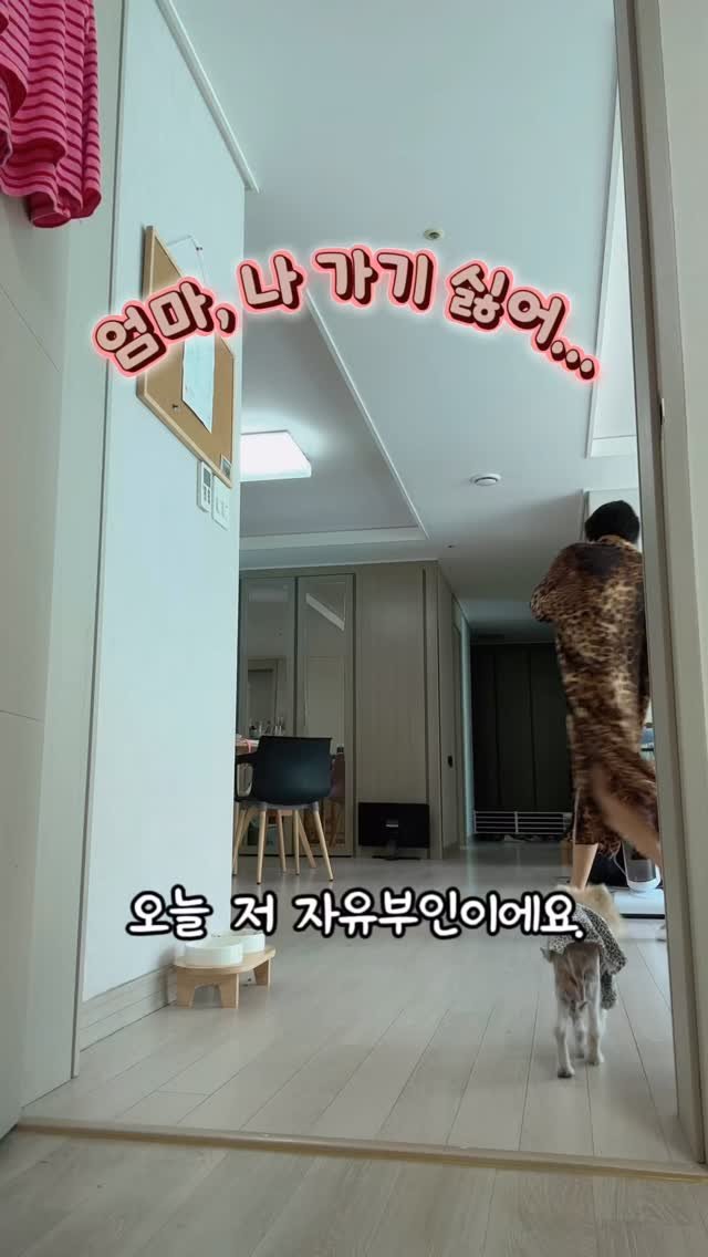 kim_cho.2 게시물 이미지: 오늘 다들 부러워하는 자유부인이 되었는데, 
마음이 너무 무겁습니다.

늘 밝게 잘...