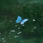 nuungle 프로필 사진