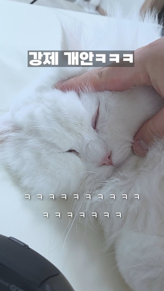 kimbaekseol 게시물 이미지: 김백설 강재 개안시키기
