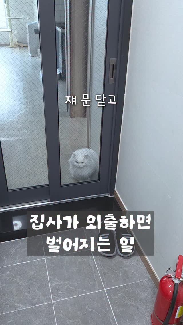 kimbaekseol 게시물 이미지: 항상 계획이 있는 김백설