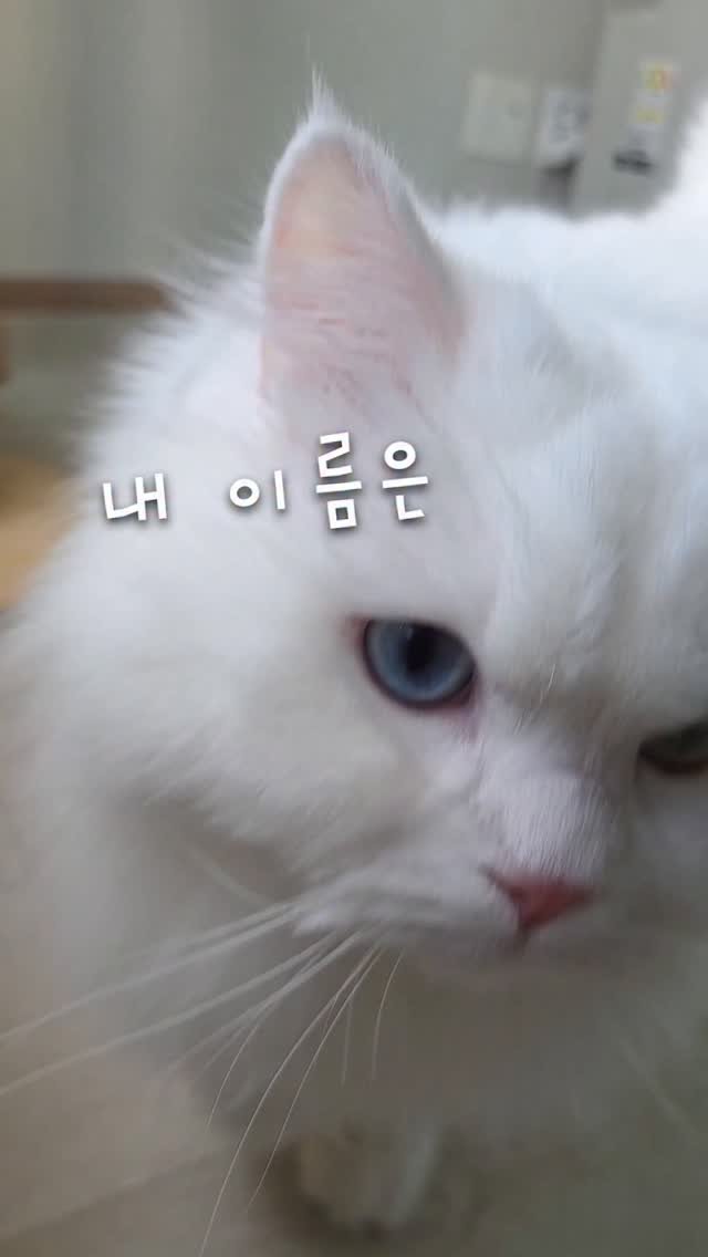 kimbaekseol 게시물 이미지: 내가 싫다고 했지