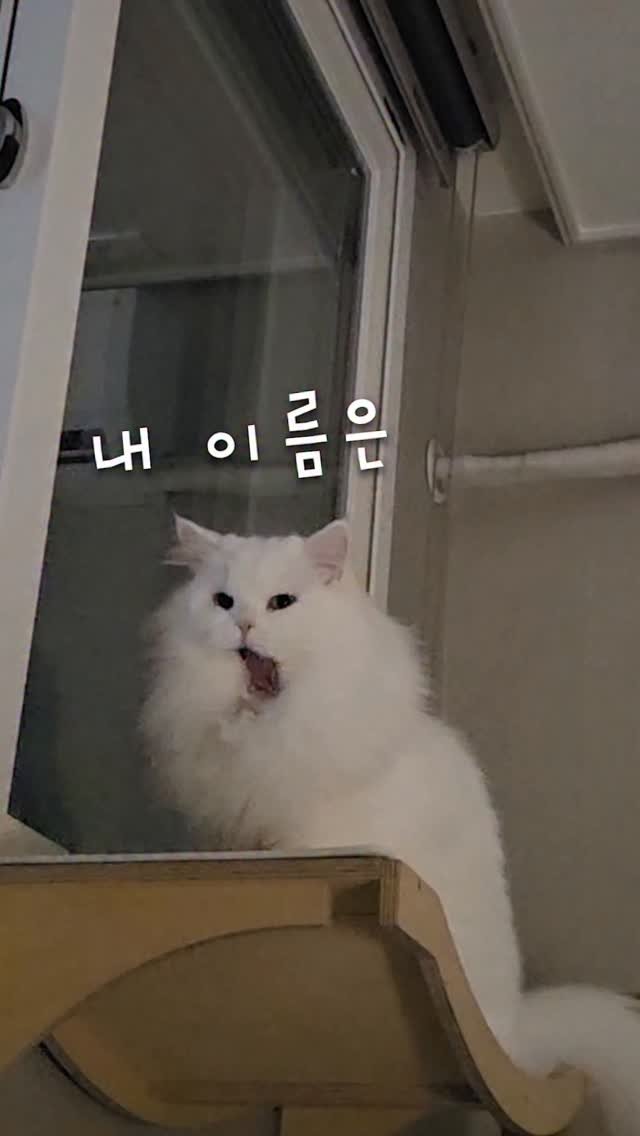 kimbaekseol 게시물 이미지: 뱀파이어가 된 김백설