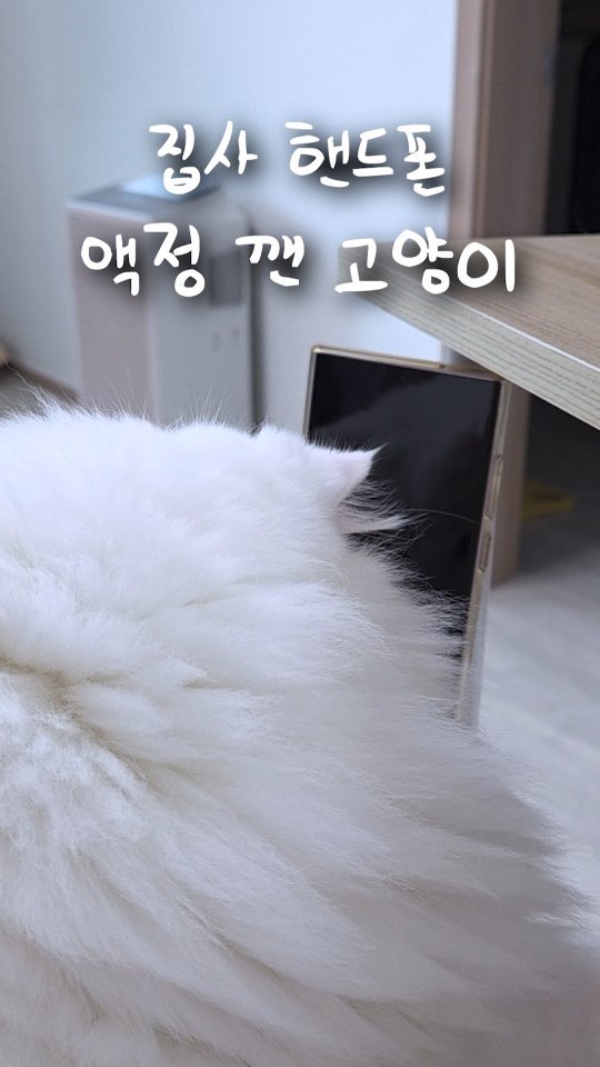 kimbaekseol 게시물 이미지: 일생일대의 위기상황 (실화)