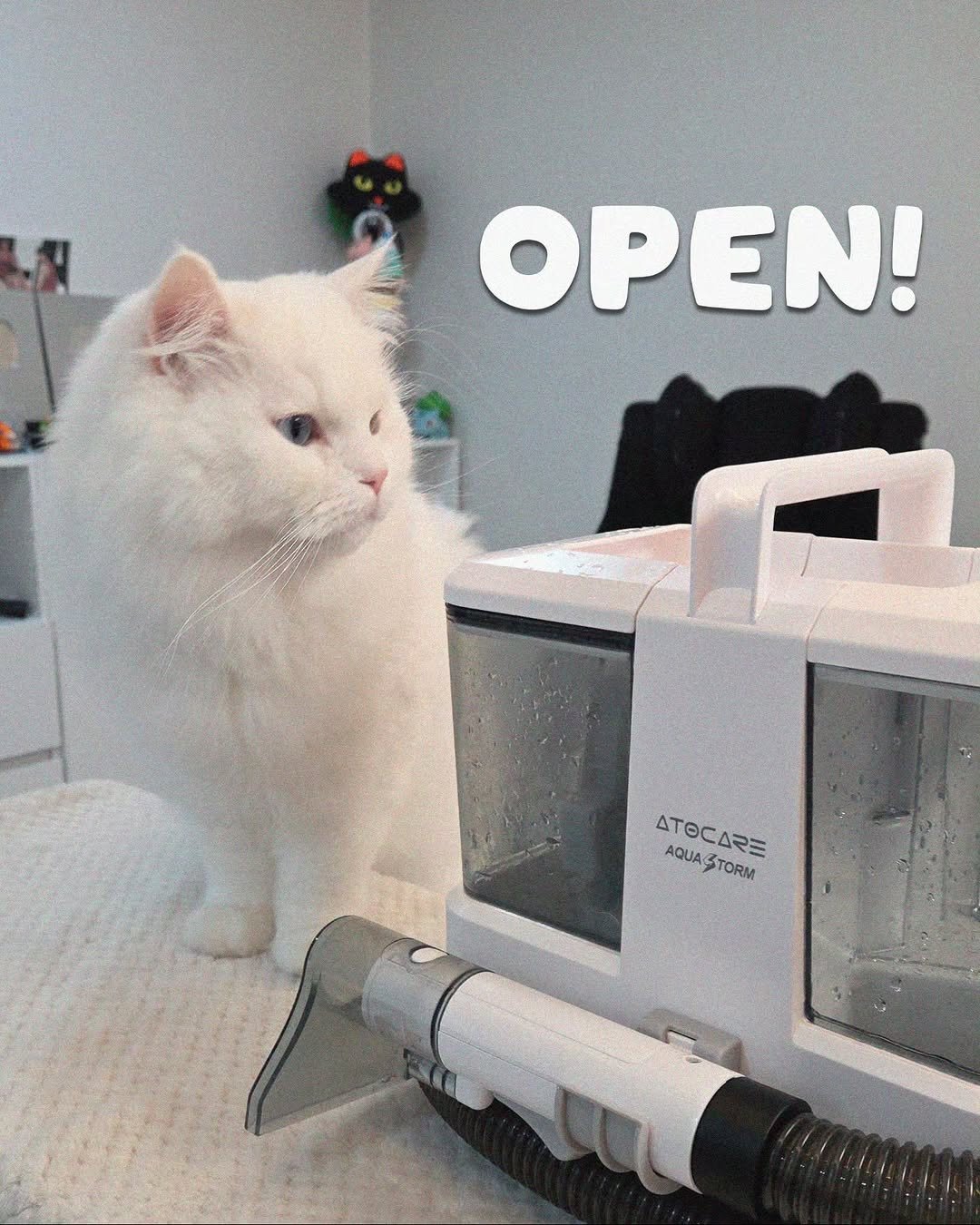 Photo by 백설이네 김백설 on March 29, 2026. May be an image of ragdoll cat, kitten, Persian cat, clothes iron, hair dryer, vacuum, water filter and text that says 'OPEN! ΔTΘB 3 TORM AQUA AQUASTORM 3'.