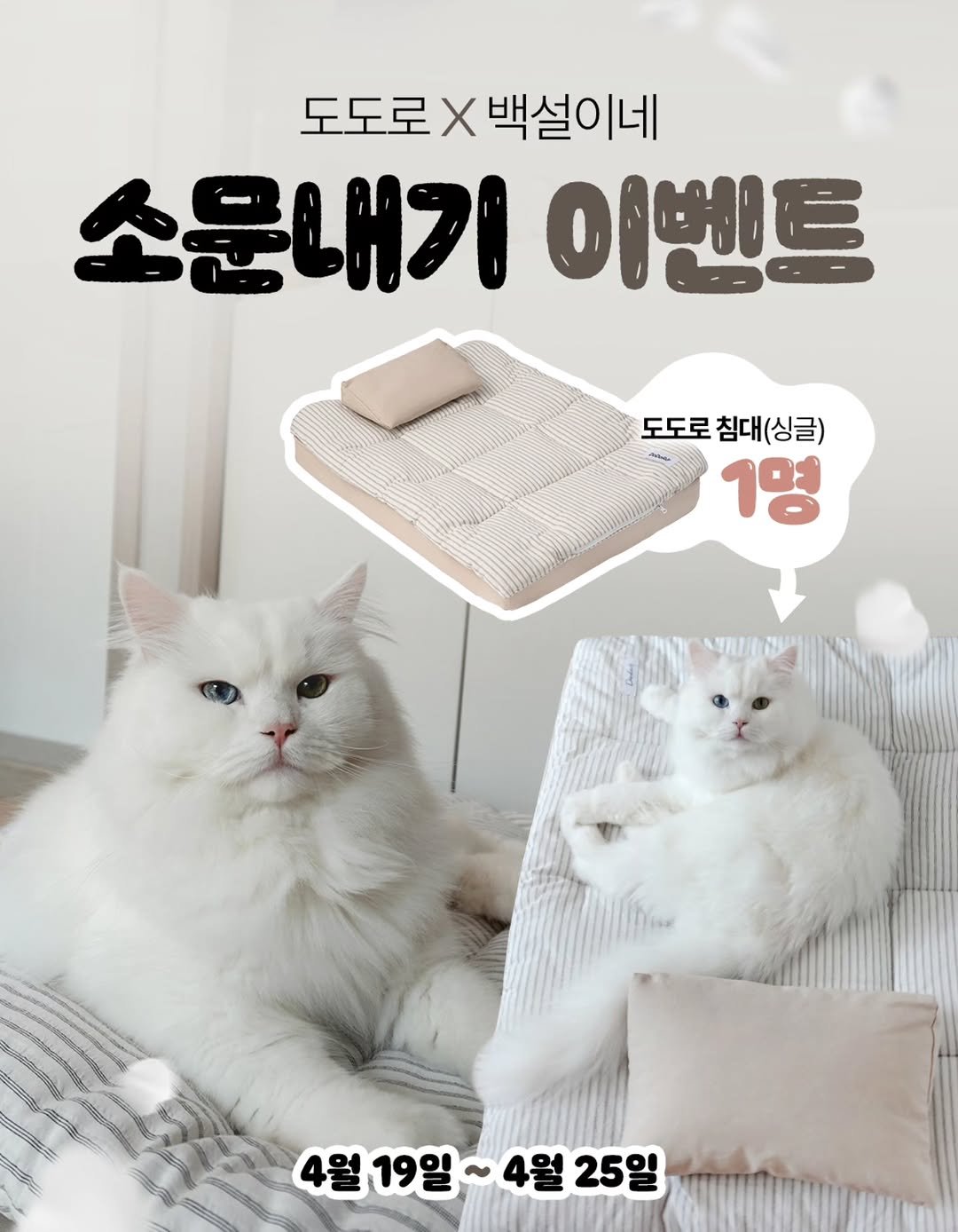 Photo by 백설이네 김백설 on April 19, 2026. May be an image of pet, mattress, futon, blanket, bedroom and text that says '도도로X 로X백설이네 X 소문내기 이벤트 도도로 도도로침대(싱글) 침대(싱글) 1명 4월19일 4월19일~4월25일 4월 19일~ 4월 ~4월25 25일'.