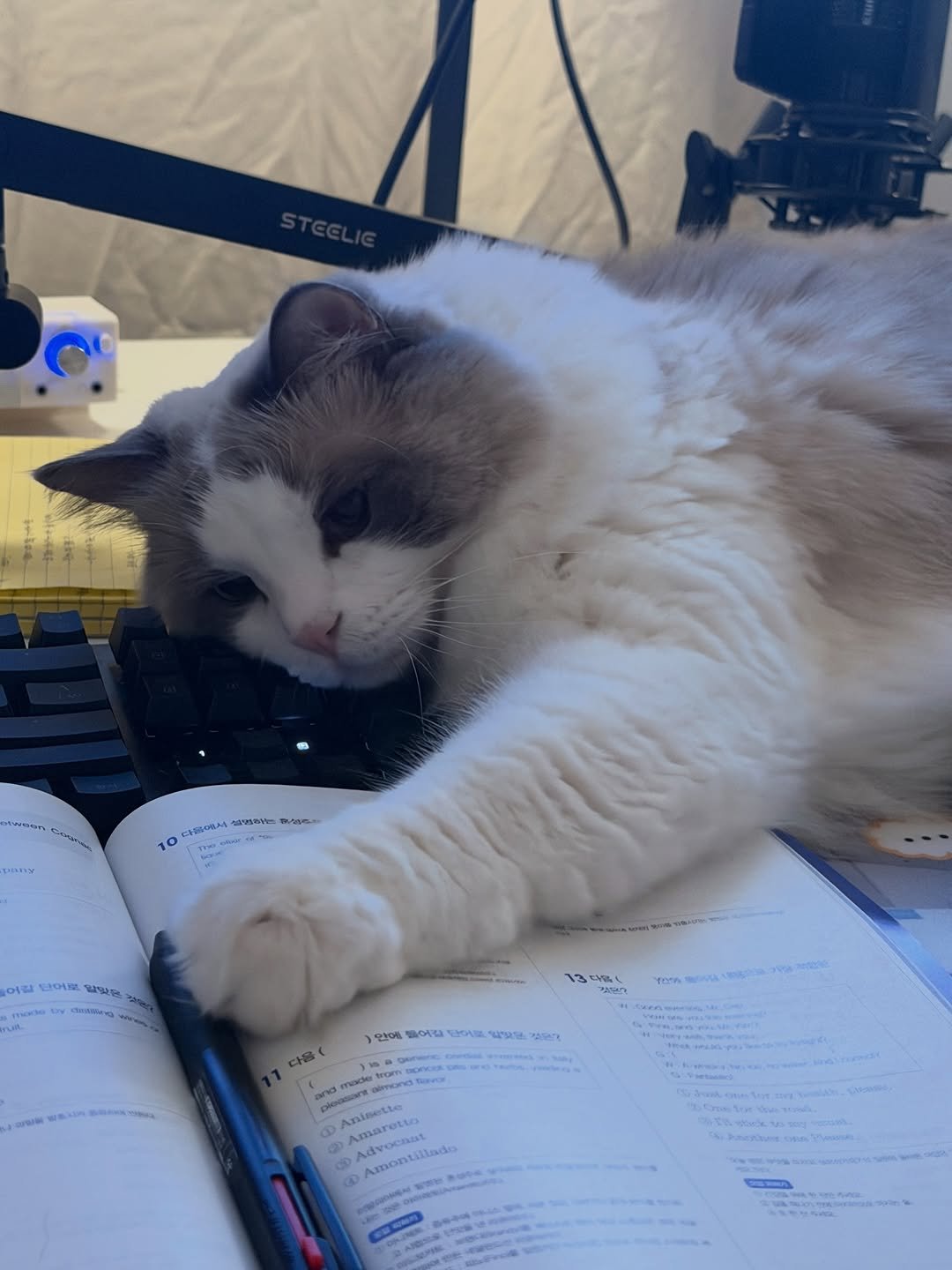 Photo by 김창민 (94.06.08) on January 23, 2026.