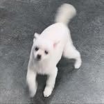 eun3amee 프로필 사진