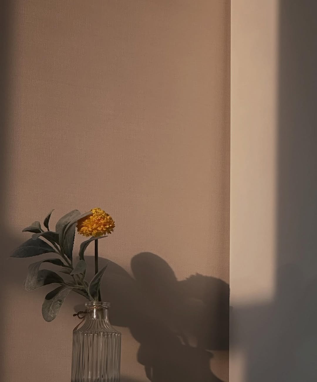 Photo by 김도완 on October 03, 2025.