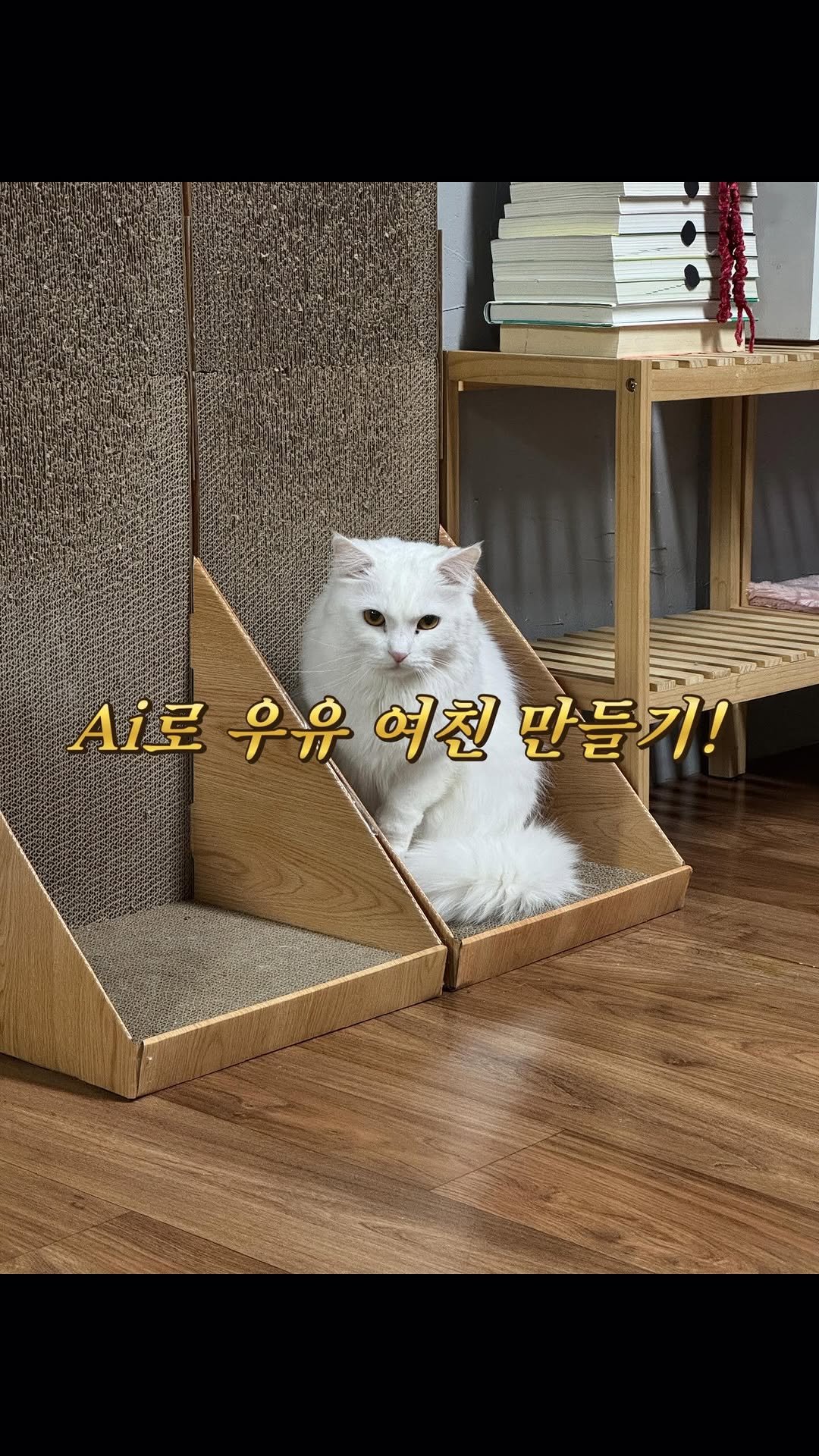 kimgane_yangssi 게시물 이미지: 로맨택 가이~~ 우유 너만 보인단 말이야~~
#고양이 #제미니이 #ai #터키시앙고라