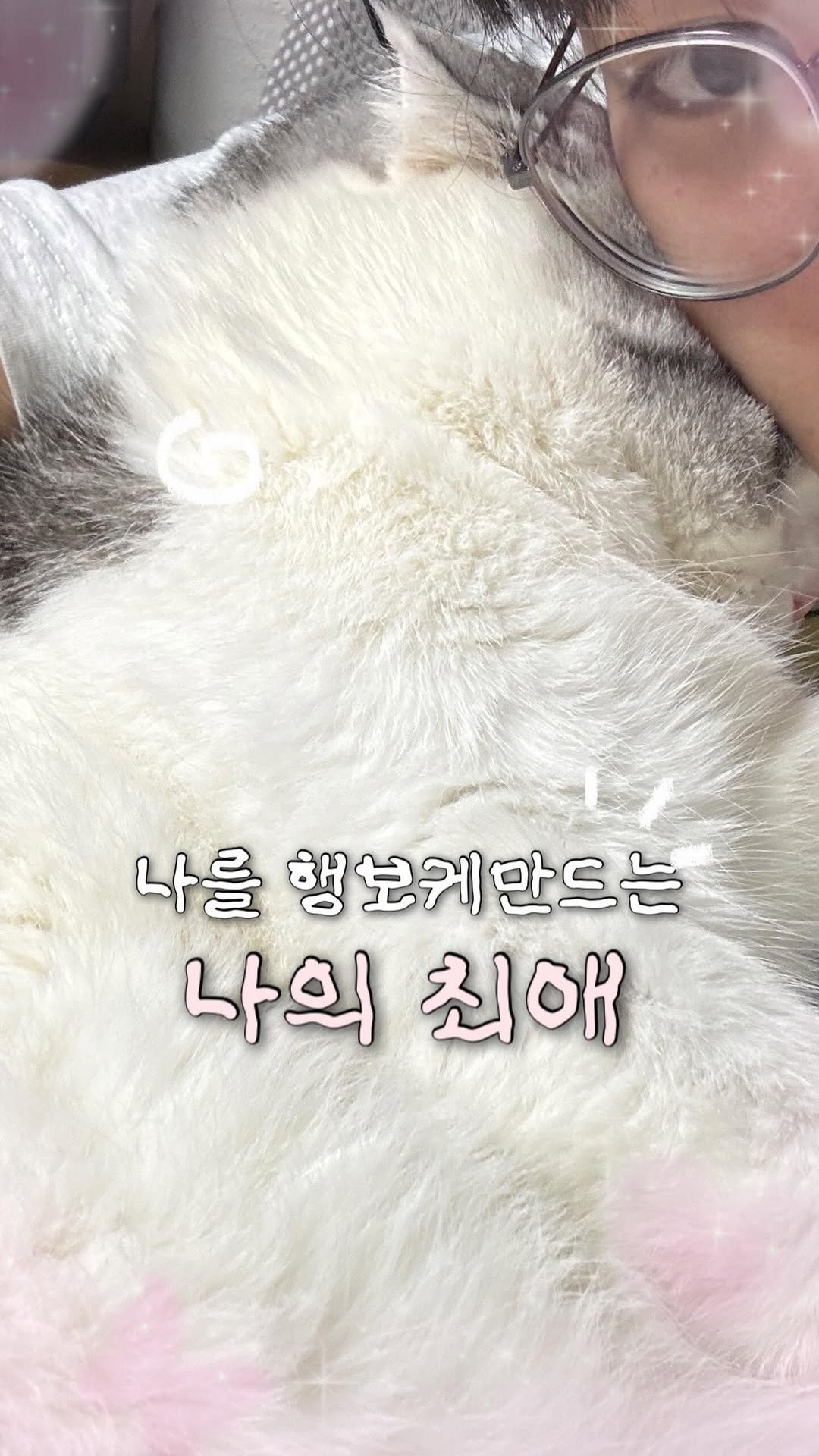 kimgane_yangssi 게시물 이미지: 내 최애🩷
#김가네양씨 #고양이 #최애 #스코티쉬폴드 #개냥이😻