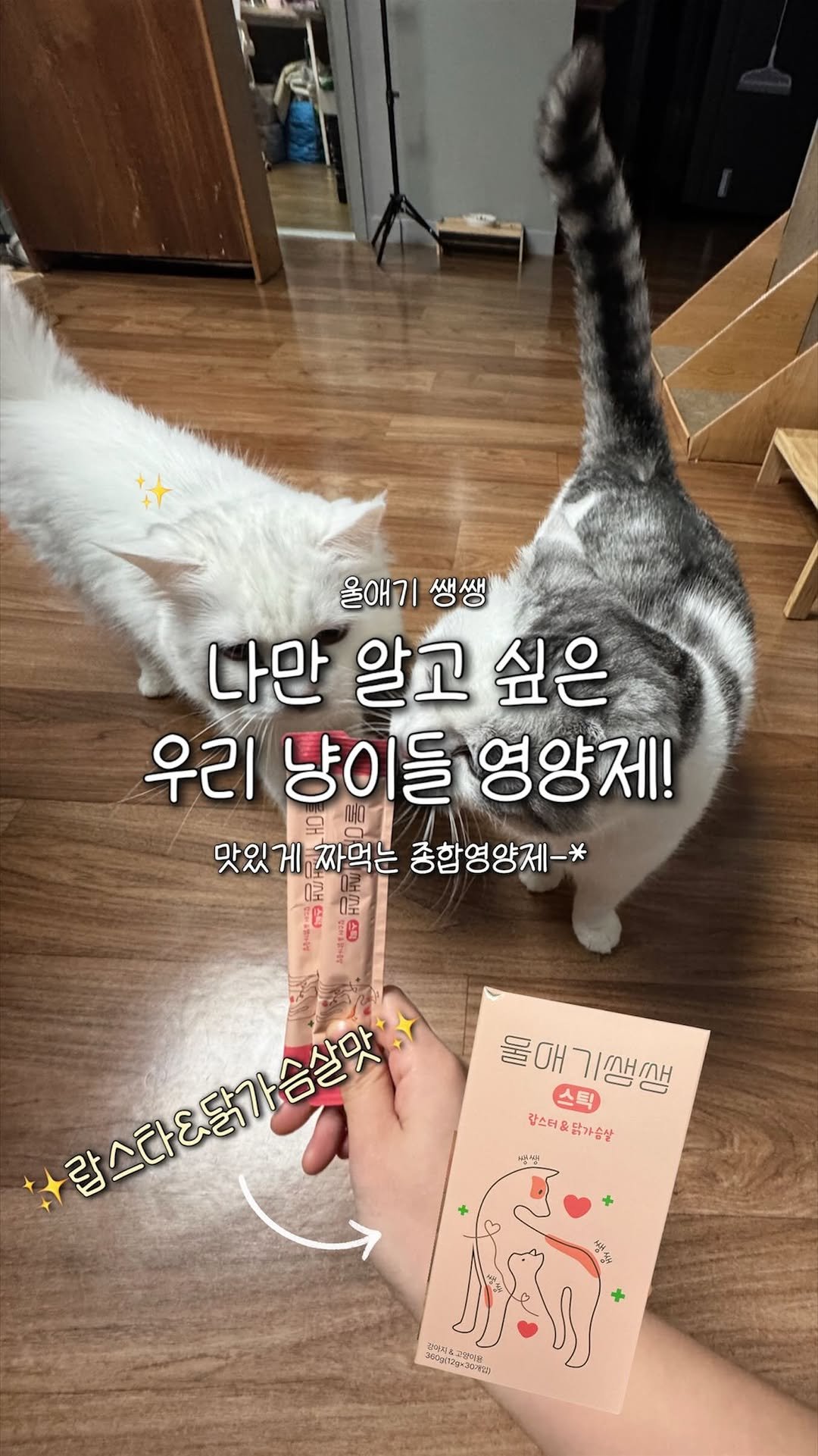 kimgane_yangssi 게시물 이미지: #협찬 사람 건강도 중요하지만 고양이들도 건강은 중요하죠! 💖

집사님들, 혹시...