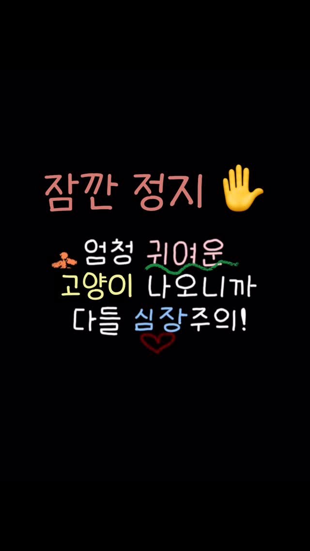 kimgane_yangssi 게시물 이미지: 잠깐 정지!

#고양이 #고양이일상 #냥팔 #고양이집사 #고양이스타그램