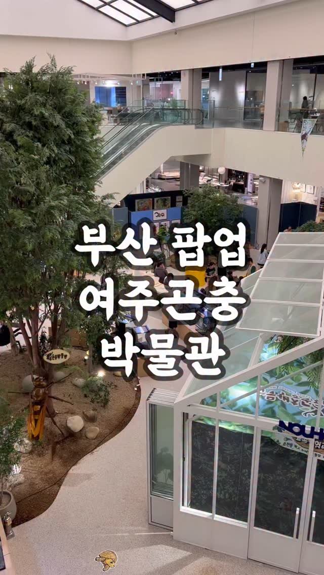 kimi._.3 게시물 이미지: 🪲 부산에 곤충 왕국이 떴다!
롯데몰 메종동부산점(별관) 1층에서
여주곤충박물관...