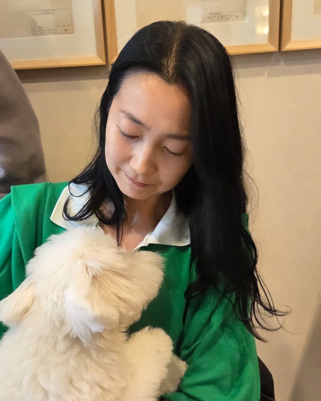 Photo by 배우 김주령 on November 09, 2025. May be an image of lamb, Maltese, Bedlington terrier, Pekinese, fur and text.