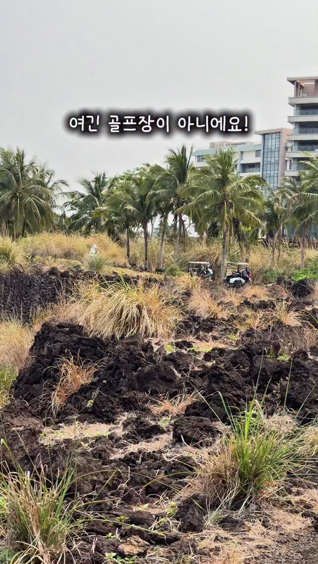 kimkarong_golf 게시물 이미지: #제작지원

하이난 미션힐CC는
왜 많은 골퍼들의 드림코스로 불리는지
직접 가보면...