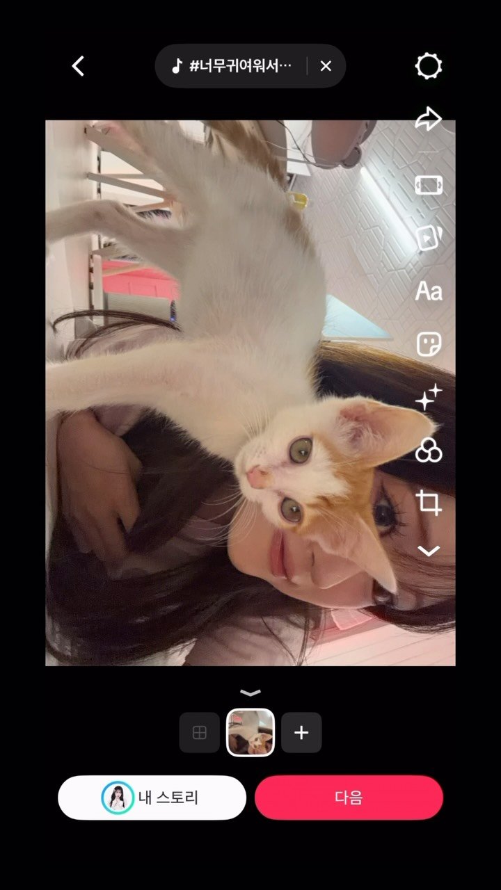 kimming0_0 게시물 이미지: 틱ㅌ이 알려주는 내 얼굴 분위기;;