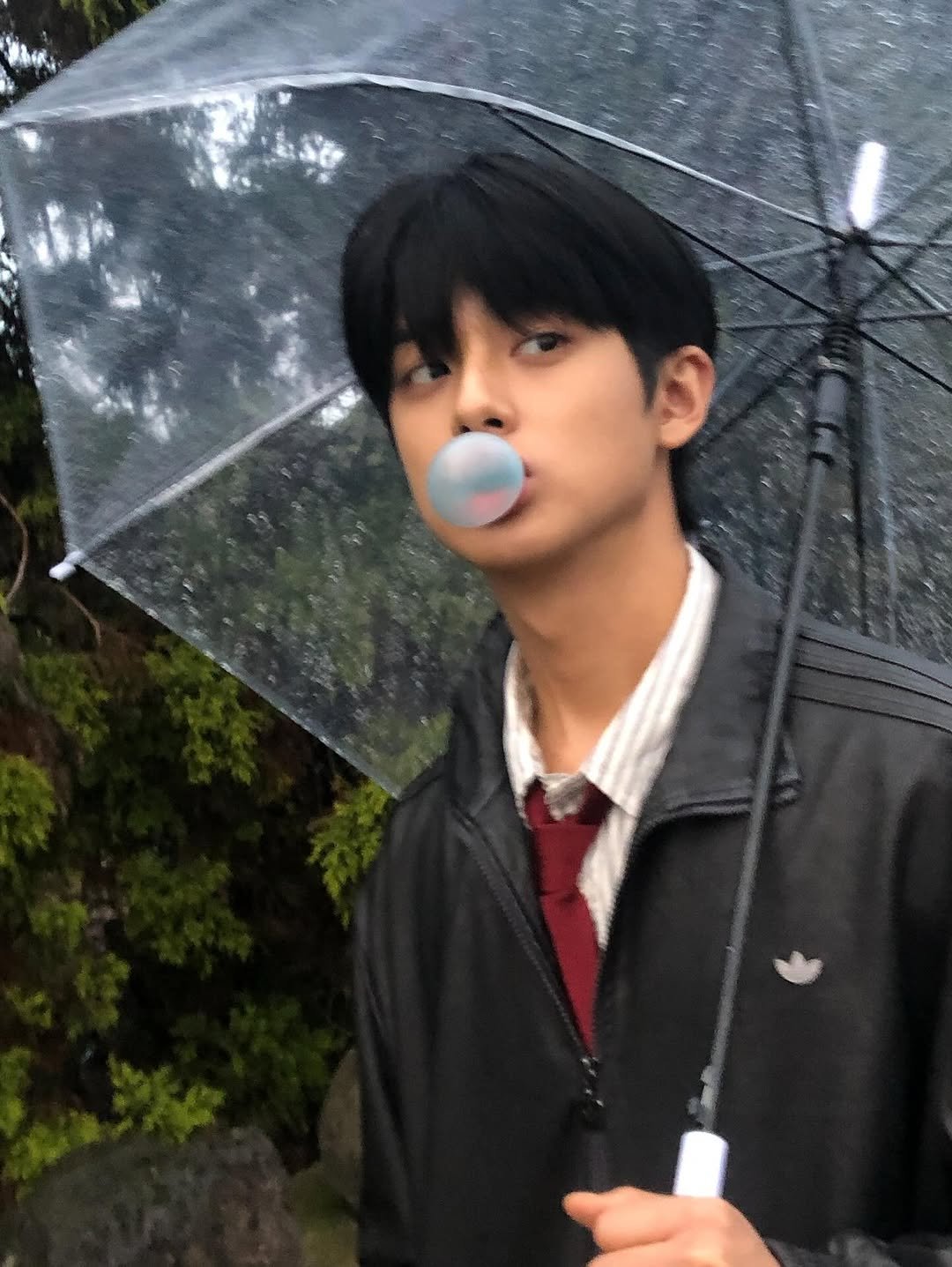 Photo by 김민규 / KIM MIN KYU on November 19, 2025.