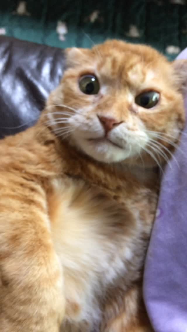 kimnaembee 게시물 이미지: 즐거운 금요일에 공포감 조성 _:(´ཀ`」 ∠):