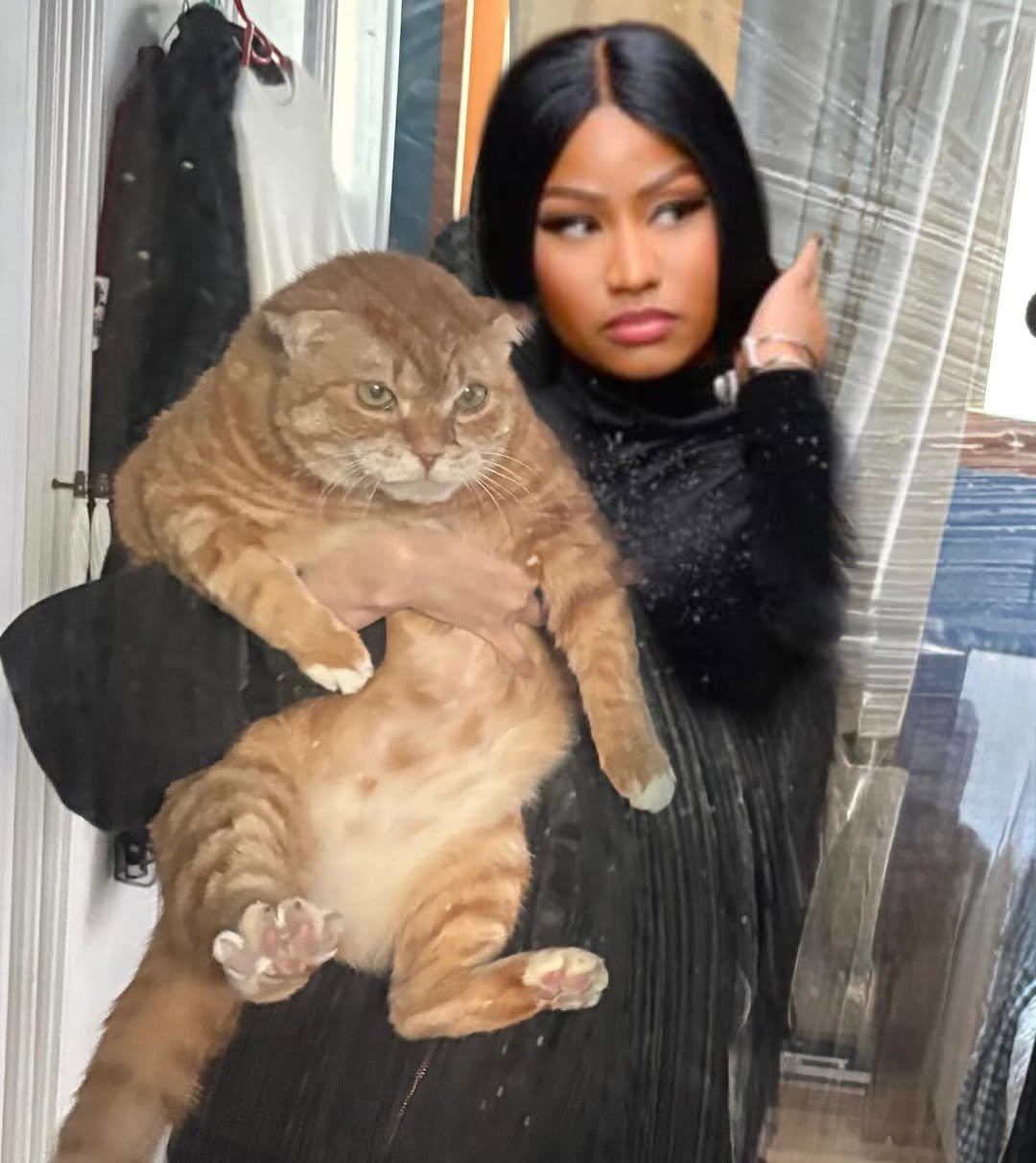 Photo by 김냄비(디엠확인느려요죄송해요양해부탁) on March 19, 2026. May be an image of kitten, fur and text.