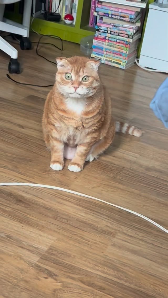 kimnaembee 게시물 이미지: 도망가는 남자 (냄비는늘도망가)