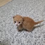 paju_nam 프로필 사진