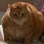 kimnaembee 인스타그램 프로필 사진