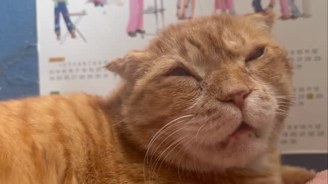 kimnaembee 게시물 이미지: Ugly face , Heart of Gold
