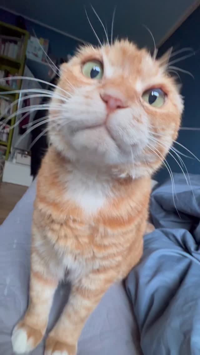 kimnaembee 게시물 이미지: 모두~~거짓말처럼 괜찮아지는 
행복한 4월 보내세요ଘ(  ੭`꒳´...