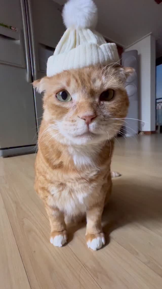 kimnaembee 게시물 이미지: .
┷  기찬  2월의
◑┝ 시작(∩_∩)
┸┒ 즐거운마음
┎┙으로홧팅~♬
┕━━☆━━☆