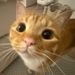 dongggeul 프로필 사진