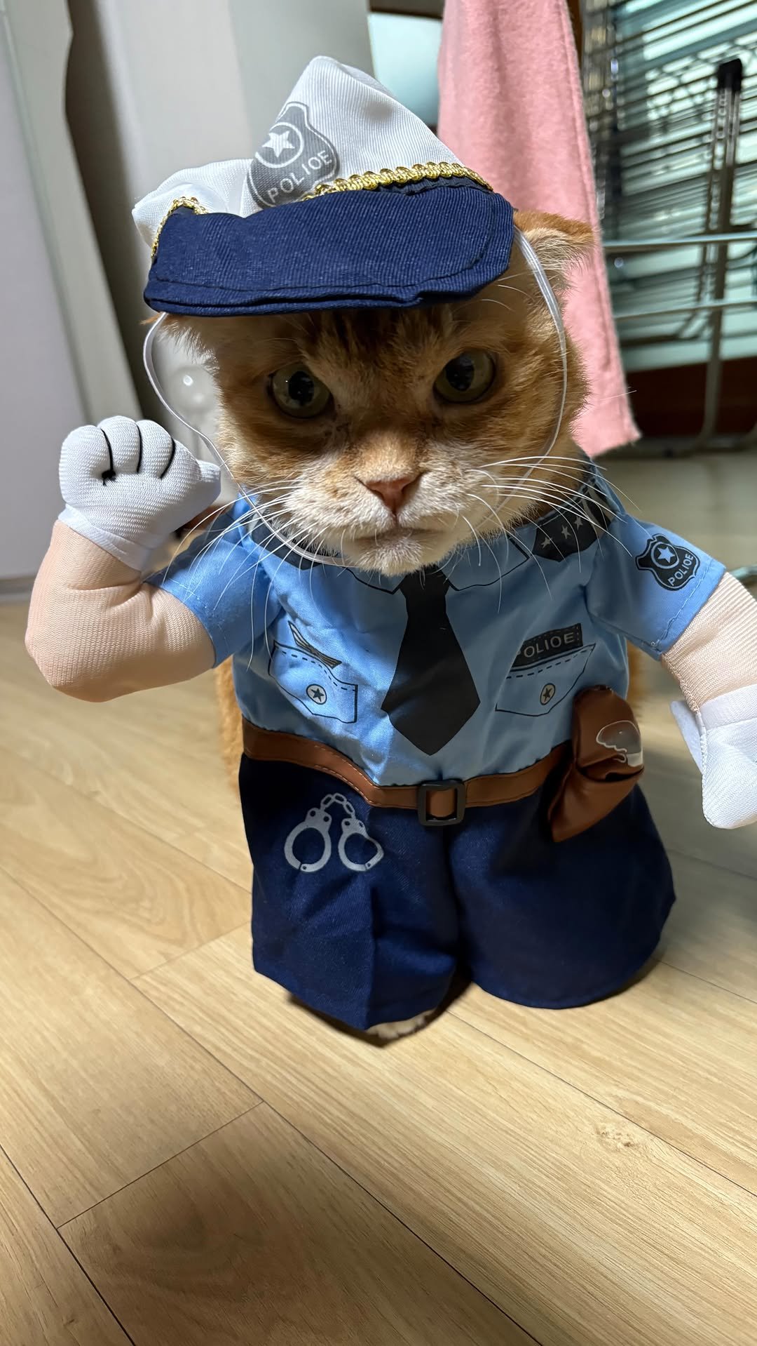 kimnaembee 게시물 이미지: (광고) 쿠키런: 오븐브레이크 X 파워퍼프걸 콜라보 공개!

런데이 앱에서...