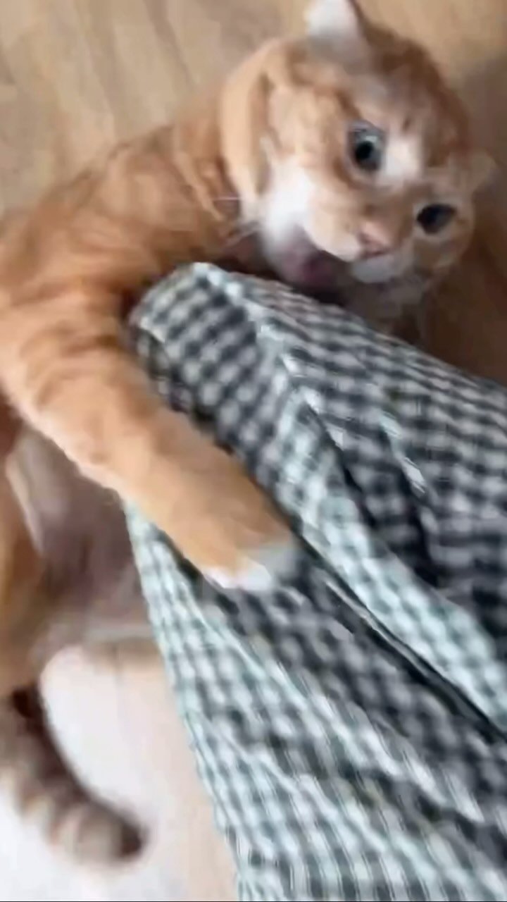 kimnaembee 게시물 이미지: 김냄비펌피럽