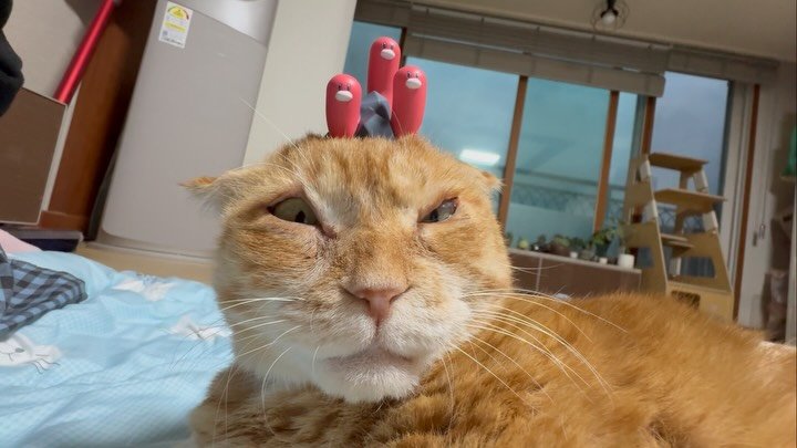 kimnaembee 게시물 이미지: 뿔남기