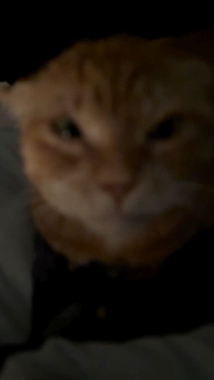 kimnaembee 게시물 이미지: ..*☆。...