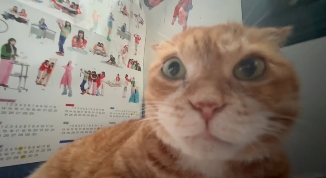kimnaembee 게시물 이미지: 매일매일 기분이 이럼