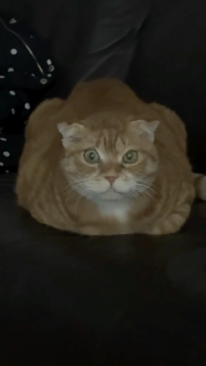 kimnaembee 게시물 이미지: 네?