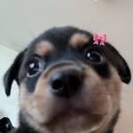 g.anjang2 프로필 사진